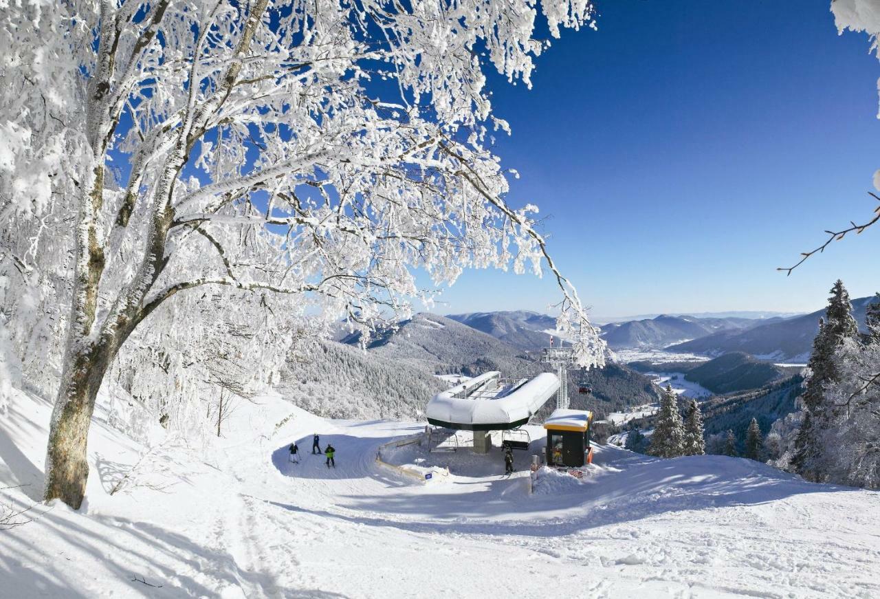 Haus Lenz Ferienwohnungen - Fam Ostermann 푸크베르크암슈니베르크 외부 사진
